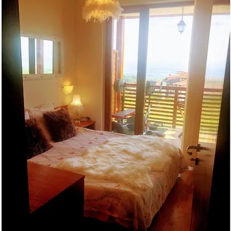 1br Mountain View In Apartment *